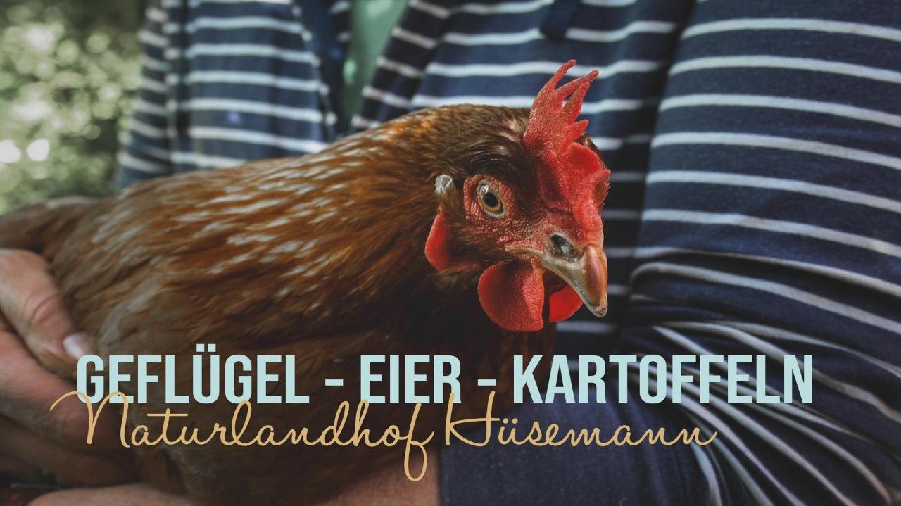 Naturlandhof Hüsemann